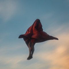 The Veil