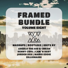 Framed Bundle | Volume Eight by FNM | Mashups, Bootlegs & Edits
