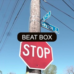HD4President - BeatBox Freestyle