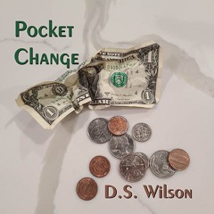 DS Wilson : Pocket Change