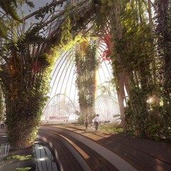 ₊˚｡⋆❆⋆｡˚₊