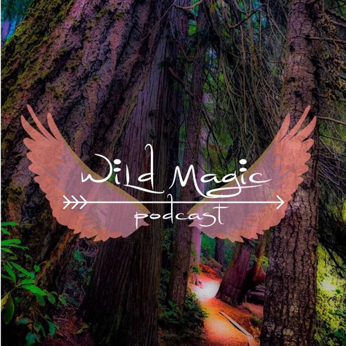 EP 04 Wild Magic Podcast - The Cave Prophecies Pt I