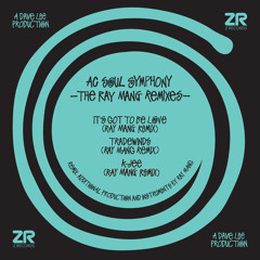 It's Got To Be Love (Ray Mang Remix)