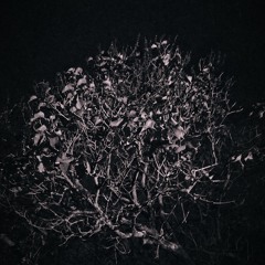 GHOST (prod. CapsCtrl x Silo)