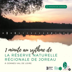 À la tombée de la nuit, la Chouette hulotte...