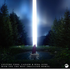 Culture Code , Caslow - Wish You The Best(With Nina Sung) BrillLion Remix