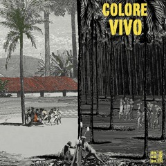 Bjondo - Colore Vivo “A concept album in the shape of a mondo film” -Preview-