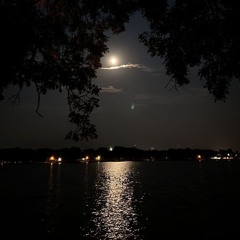 youum ma Tensa --tamer ashour ...