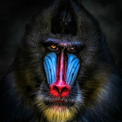 Martin Gore - Mandrill (MODEified by beatmaster23)