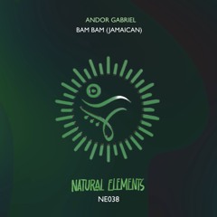 Stream Natural Elements Records music | Listen to songs, albums