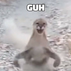 shit fucks