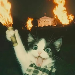 Lullaby Session: GoTo Shades On