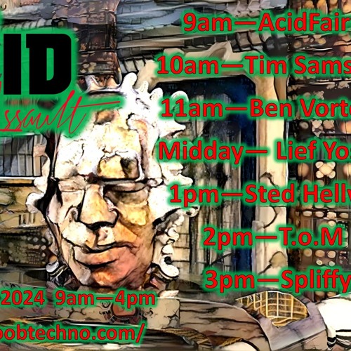 Sted Hellvis - Acid Assault June 2024 Banging Acid Techno