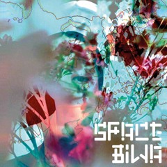 SPACE BIWA - SPACE BIWA Preview