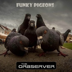 Funky Pigeons