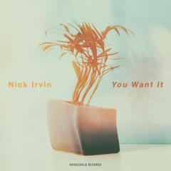 You Want It by Nick Irvin