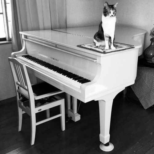 上品な白いピアノ♪ 憧れの白いピアノ | ピアノ専門店 Piano Cloud 富山 | MPC楽器