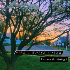 pink + white acoustic cover ft. my flat ass notes