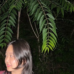 taal. mix # 2 - minim c