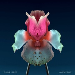 Flume - Free (ameme flip)