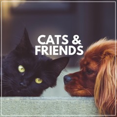Regal Feline Calming Music for Your Cat, Pt. 39