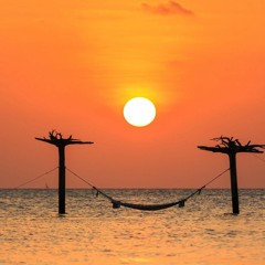 Sunset Cigarette - rob x øutspan