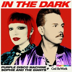 Purple Disco Machine - In the dark (Ced ReWork)