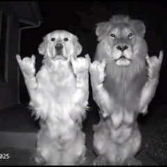 цум w/ samovar (prod. geam)