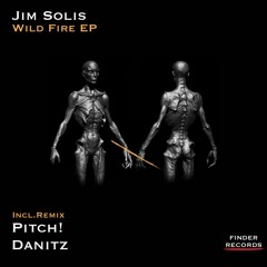 Jim Solis - Wild Fire (Danitz Remix)