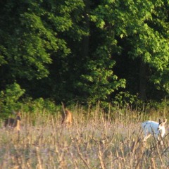 We Will Make It [Prod Essence @beautifulwithinyou]