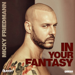 Micky Friedmann - In Your Fantasy