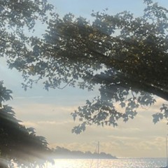 Summer Breeze.m4a