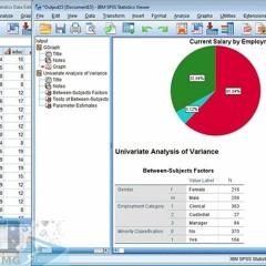 IBM.SPSS.Statistics.v24.Setup...Crack.[Mac.OSX].{. Arkanoid Burraco Mcr !!TOP!!