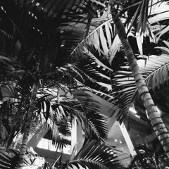 MELODIC TECHNO SET 1 - SKYHARD