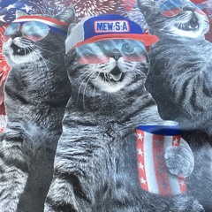 U must hate it here (4thjuly).m4a