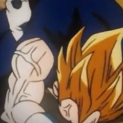 Vegeta-What do you know of meaningless