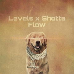 Levels x Shotta Flow by enci