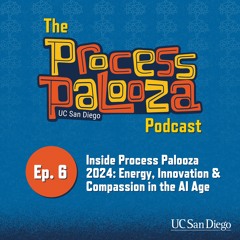 Process Palooza Podcast Ep. 6: Inside Process Palooza 2024