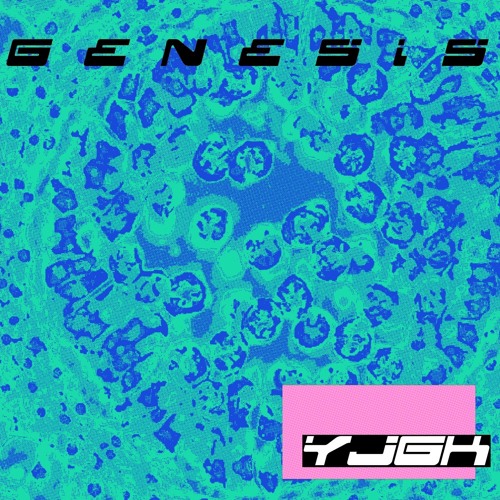 Genesis