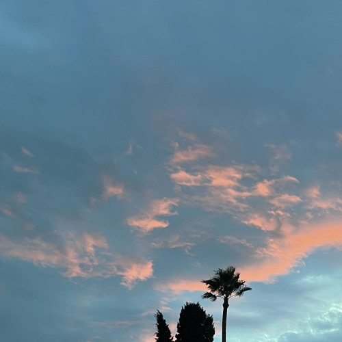 YOU SAID// ŌKAMI (PROD. WHY LONER)