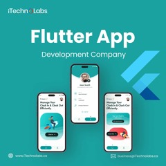 Improbable Flutter App Development Company In Los Angeles - ITechnolabs