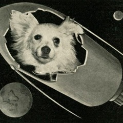Space dog.