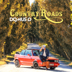 Country roads - Domus D
