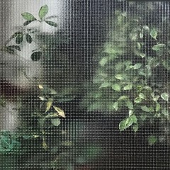 Ecosystem Dream