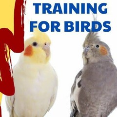 If You_re Happy and You Know It Whistling - Cockatiel Training