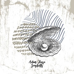 Adam Husa - Seashells [trndmsk]