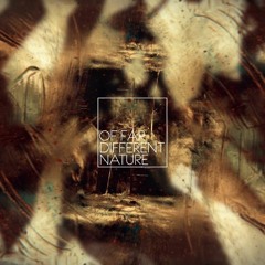 Evolution (Free Music for Games and YouTube Videos | CC-BY 4.0)