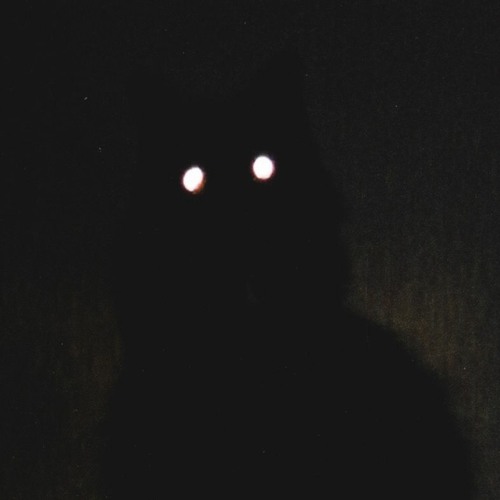 M.O.T.Y - OMG  R I S K Y