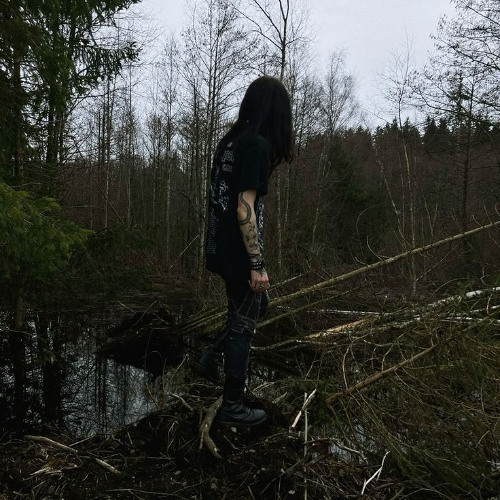 Immortal - A Perfect Vision Of The Rising Northland