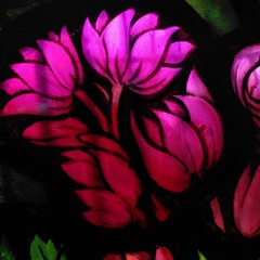 Ave, Rosa Sine Spinis (2023)